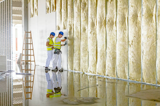 Best DIY Insulation Kits and Guidance in Lake Oswego, OR